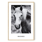 Monochrome Custom Pet Portrait Artelo