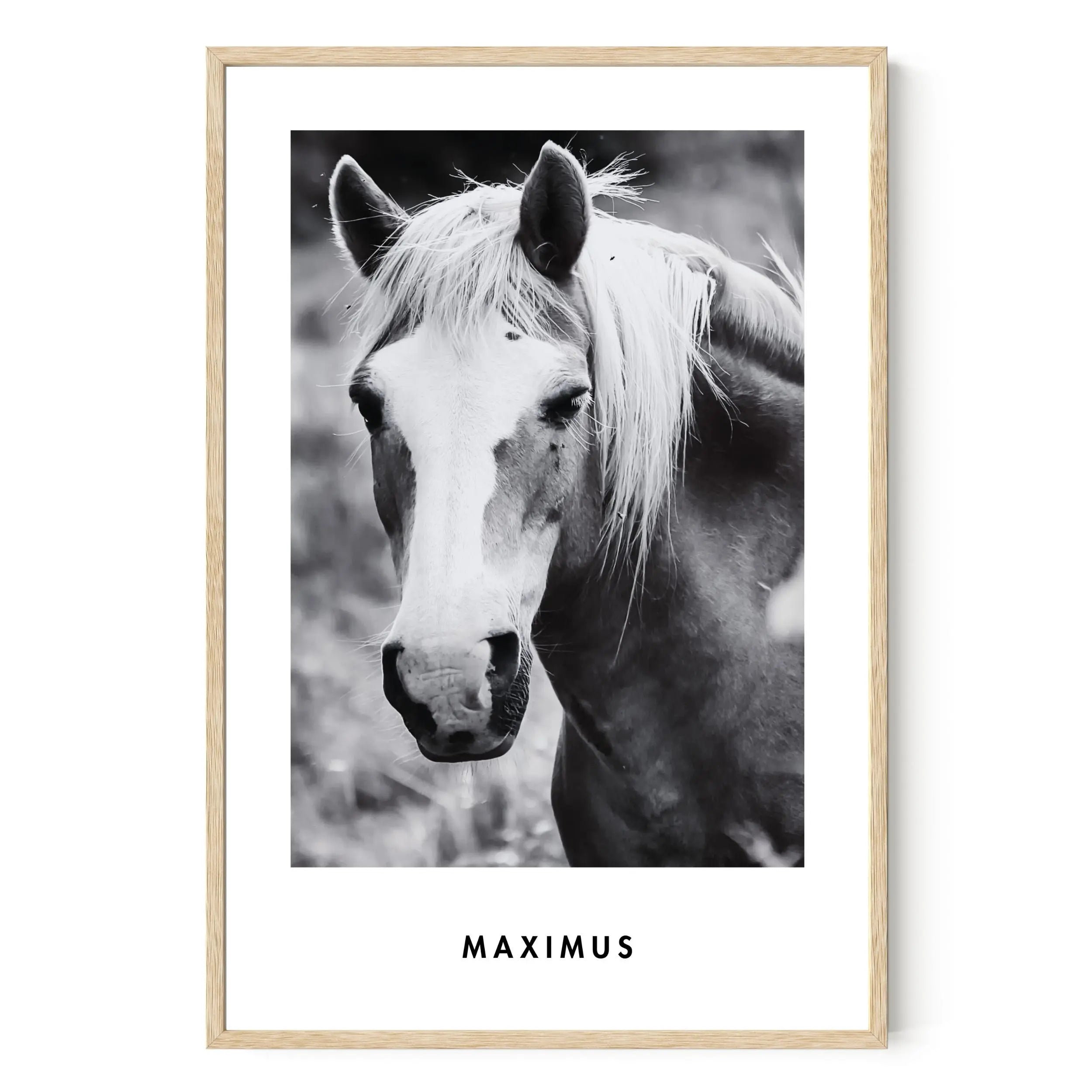 Monochrome Custom Pet Portrait Artelo