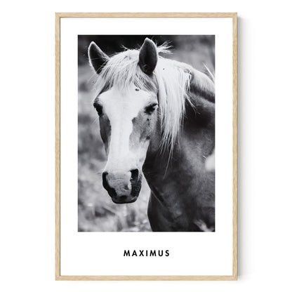 Monochrome Custom Pet Portrait