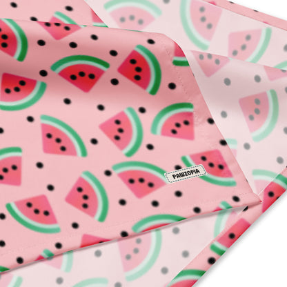 Watermelon Delight Dog Bandana